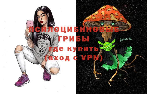 гидра Алексеевка