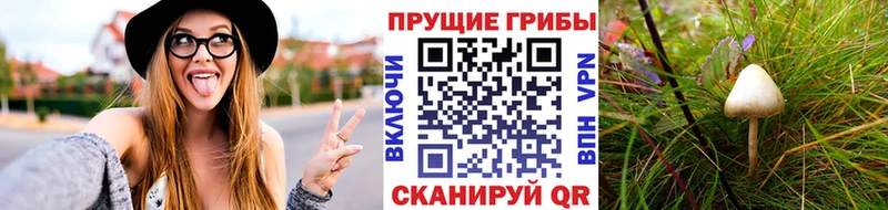 как найти закладки  Перевоз  кракен зеркало  Галлюциногенные грибы прущие грибы 